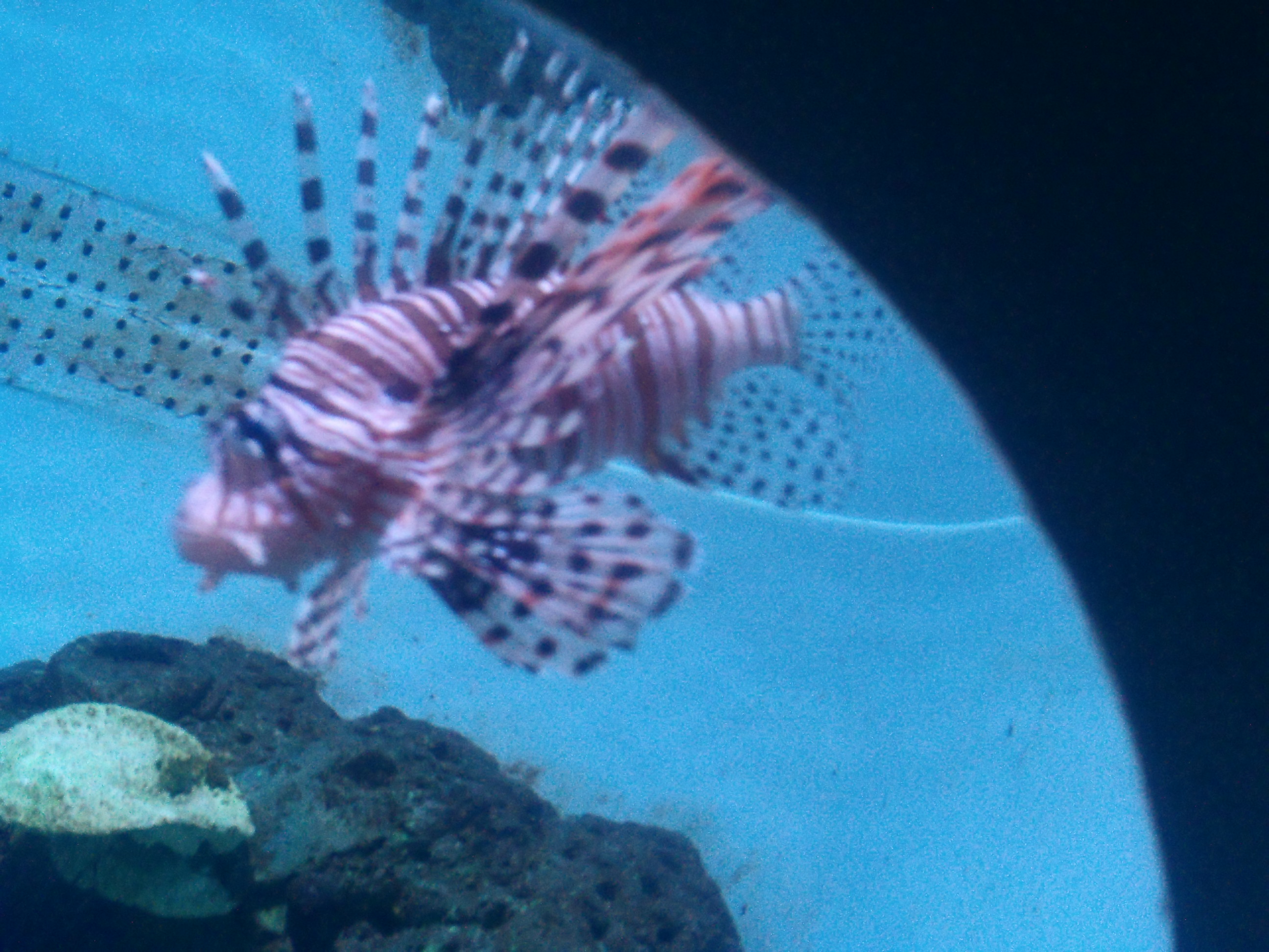 泉城海洋极地世界游玩攻略,泉城海洋极地世界官网