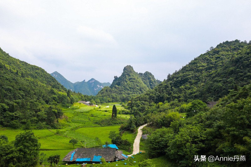 距离重庆最近的避暑城市,离主城近的夏日重庆避暑圣地