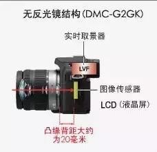 佳能单反微单入门推荐,拍照片是单反好还是入门微单好