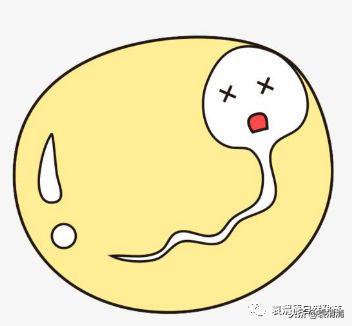 精子死亡怎么治疗调理,精子全部死亡怎么治疗