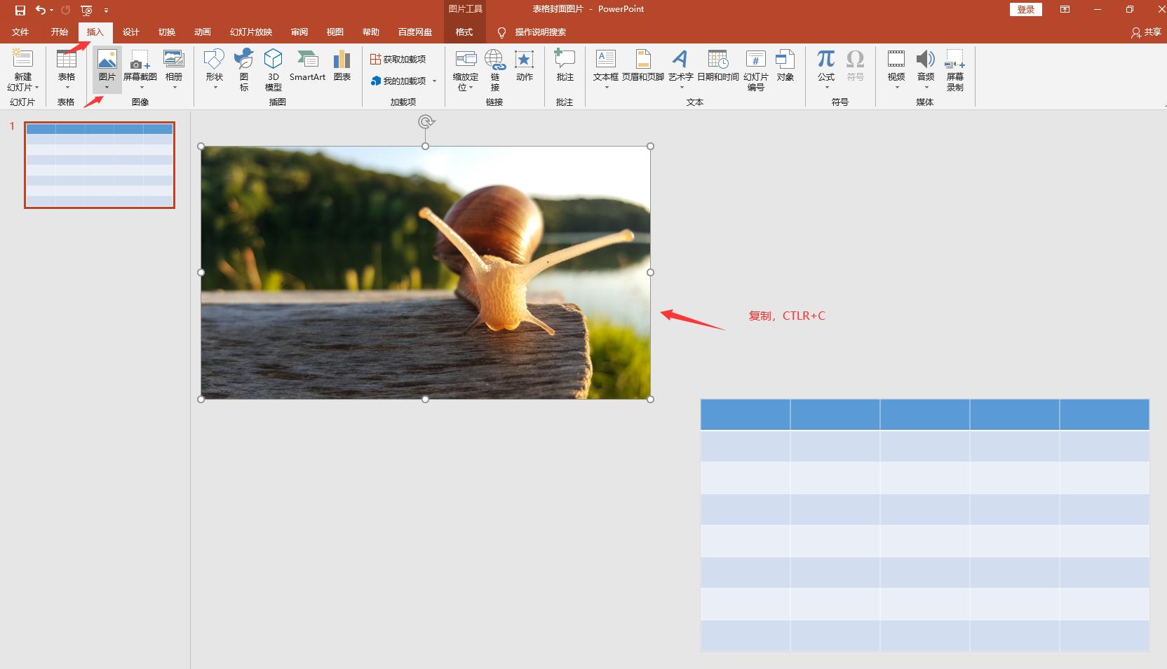 ppt封面图片的排版技法,ppt表格图片展示技巧方法