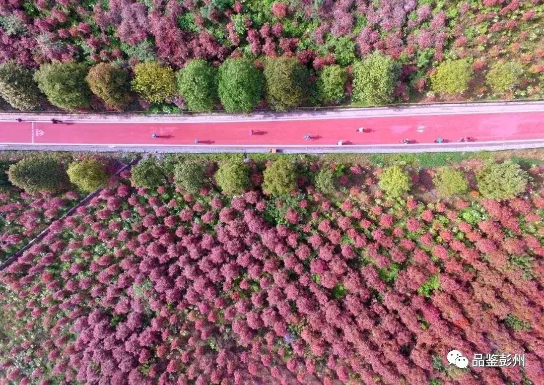 铅山县葛仙山,去葛仙山攻略