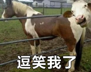 那些很奇葩的歌,盘点这些年奇葩的歌名