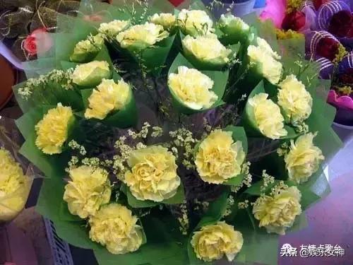 送给老师教师节礼物康乃馨,康乃馨教师节祝福语简短10字