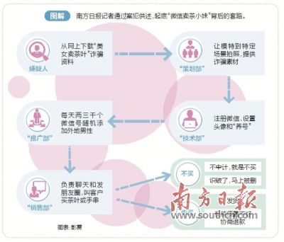 微信三大诈骗卖茶小妹,微信卖茶女诈骗获刑