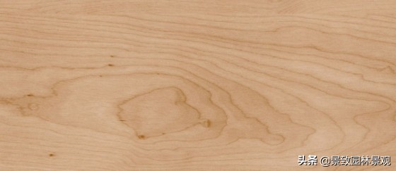 木纹最好看的木材图片,各种木材纹理图片与名称