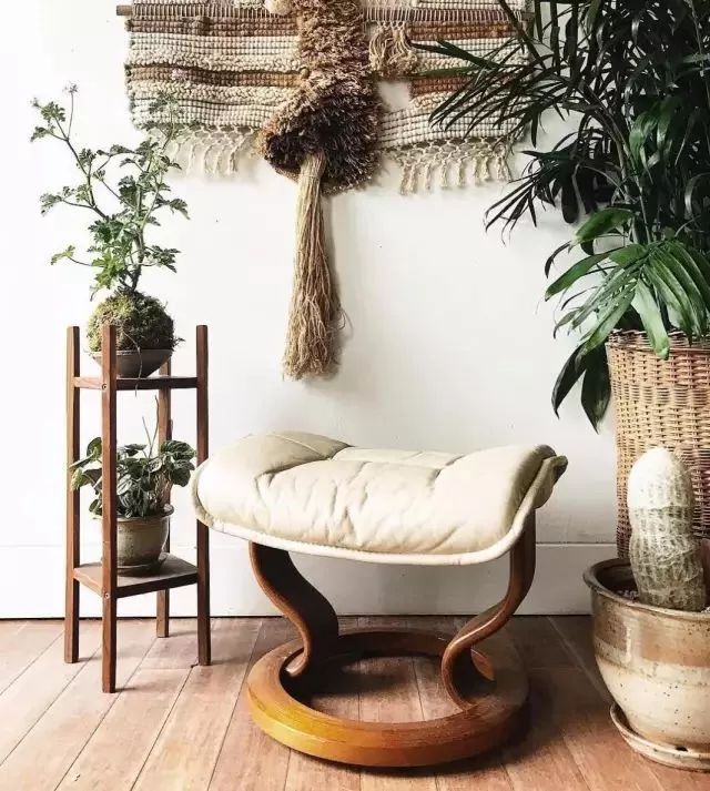 开一家植物美学小店,开一家属于自己的花店