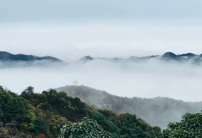 雄鹰高飞的寓意,雄鹰一定要飞得高