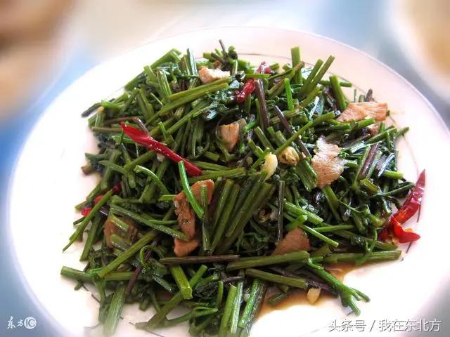 黑龙江伊春马莲林场,黑龙江伊春在中国地图哪个位置