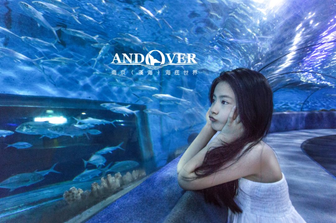 南京海底世界小朋友要票吗,南京海底世界99元一大一小套票