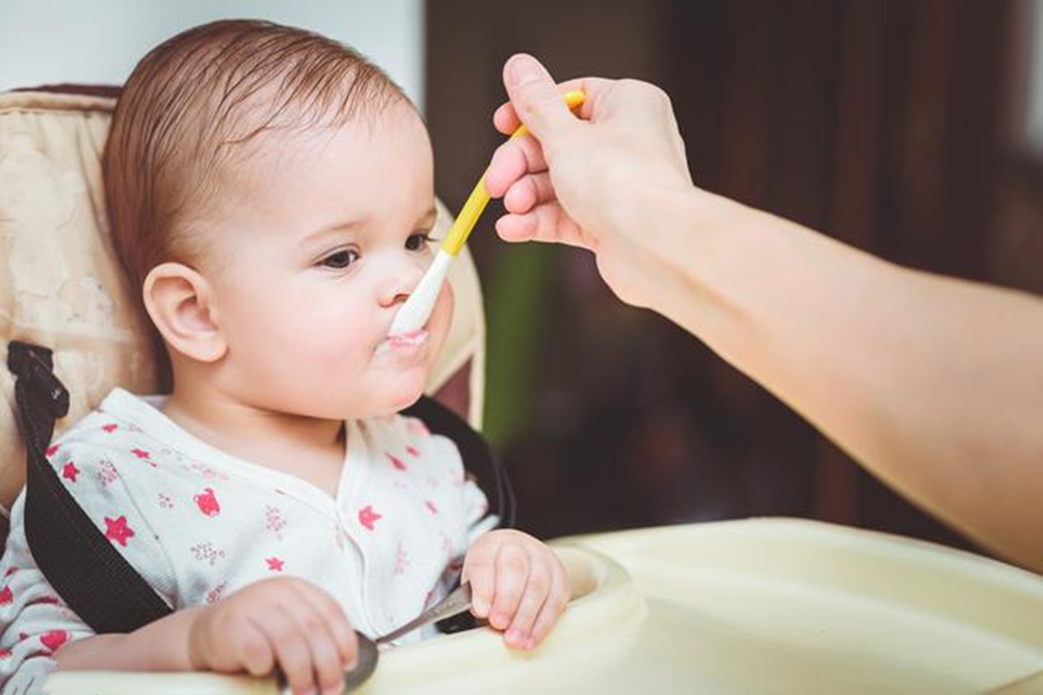 宝宝过早吃辅食会得结石,宝宝有点结石哪一种辅食才能吃