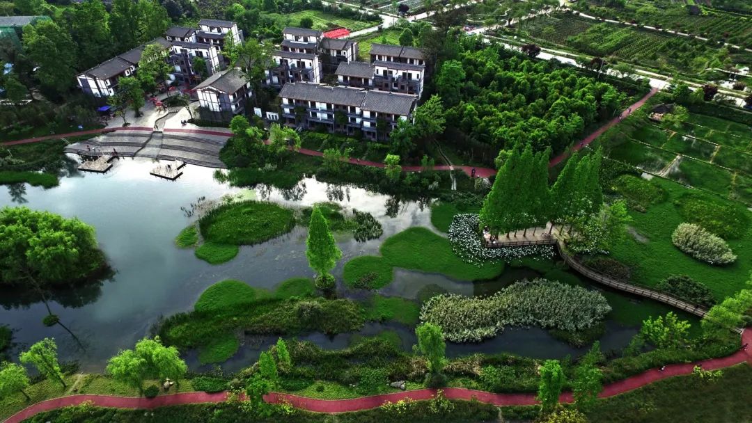 有个村庄叫幸福村小说,有一个地方叫做幸福老家