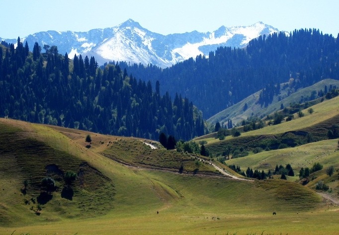 新疆天山申报世界自然遗产过程,世界遗产长安天山廊道路网位置