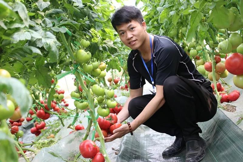 抢名额，19期中国无土栽培和土壤种植技术升级集成培训会