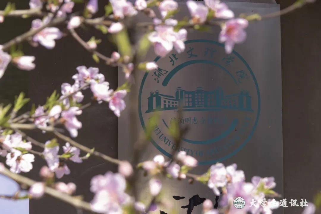 央视多次点赞武汉,央视点赞武汉直播