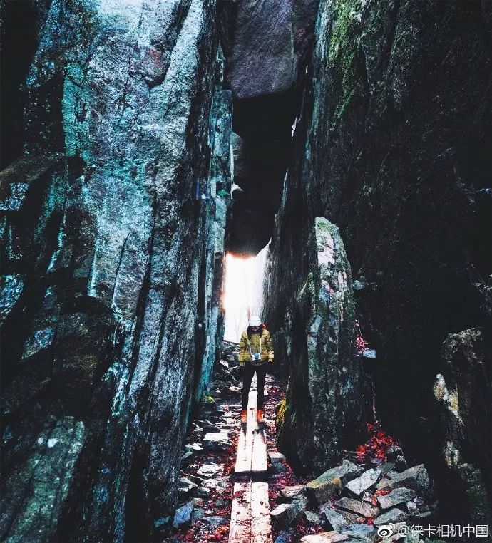 徕卡十大经典限量版,徕卡最值得入手的机子