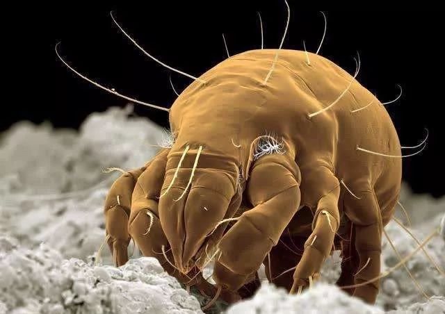 关于青春期皮肤问题的处理,青春期各种皮肤问题