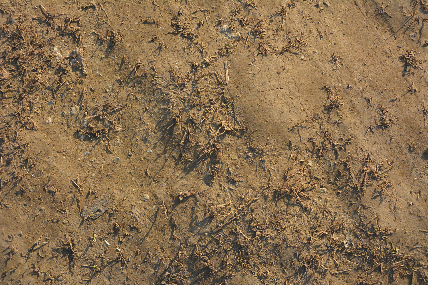 设计师福利模板,设计师必备100件用品