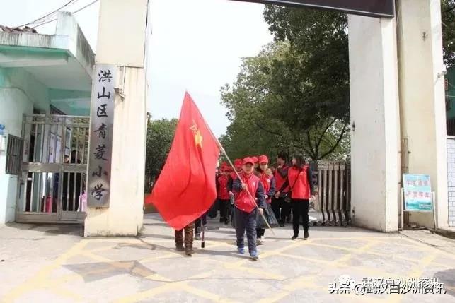 白沙洲青菱片区有哪些小学,白沙洲青菱小学怎样