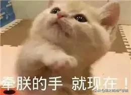 和朋友吵架了冷战怎么解决搞笑,和朋友吵架冷战想和解的视频