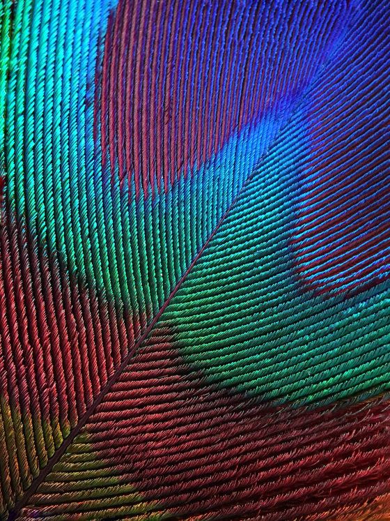 摄影抽象美学,抽象创意摄影作品欣赏