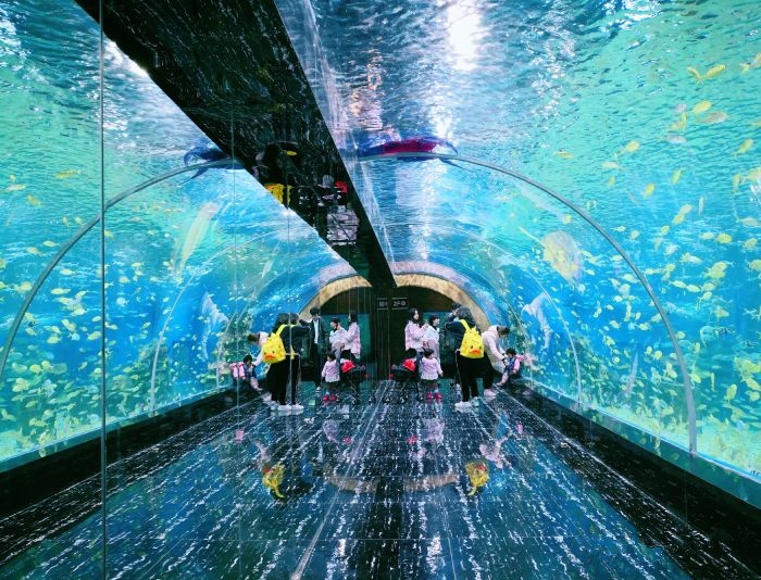 长沙未来火爆全网的网红店,长沙1亿打造的网红店