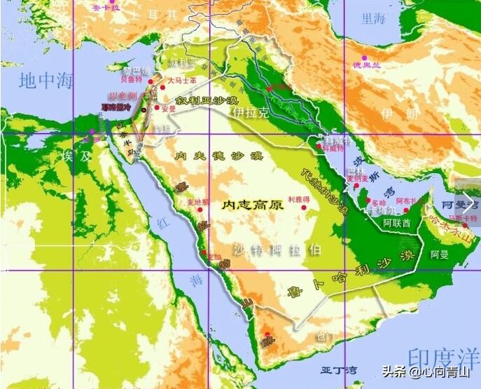 阿拉伯国家建立过程中的特点,阿拉伯国家的建立有什么影响