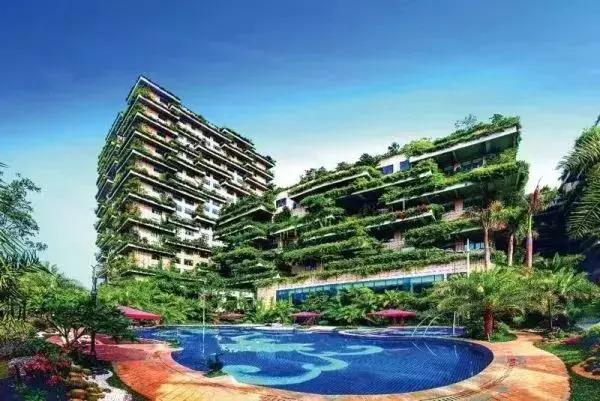 在碧桂园卖房怎么样,碧桂园低价出售房子会怎么样