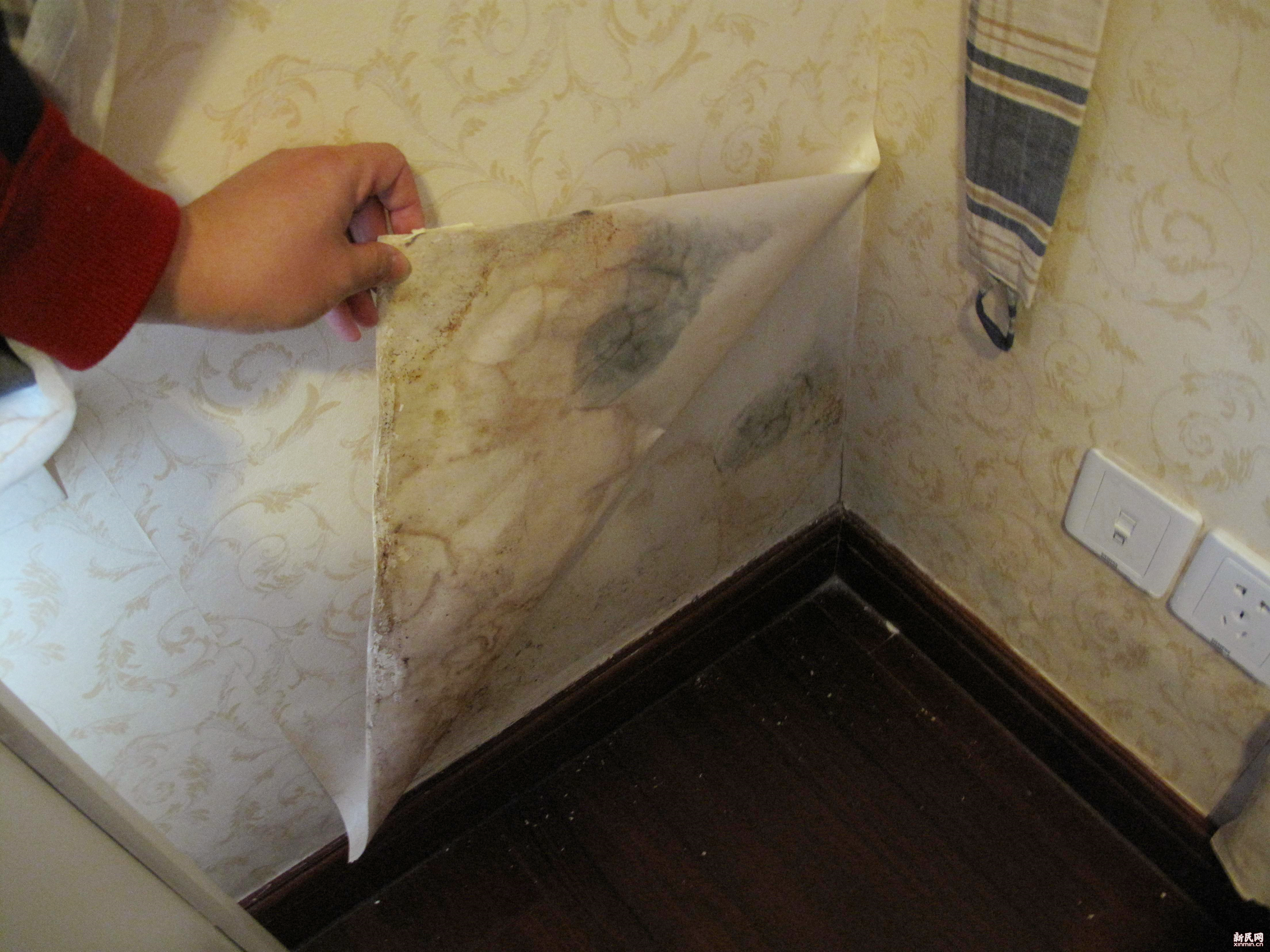 居住在一楼的坏处,装修一楼的弊端