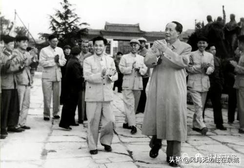 济南的法国梧桐,济南梧桐树美景