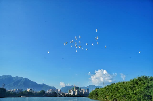 贺州旅游必去十大景点排名,贺州旅游十大最佳景点推荐