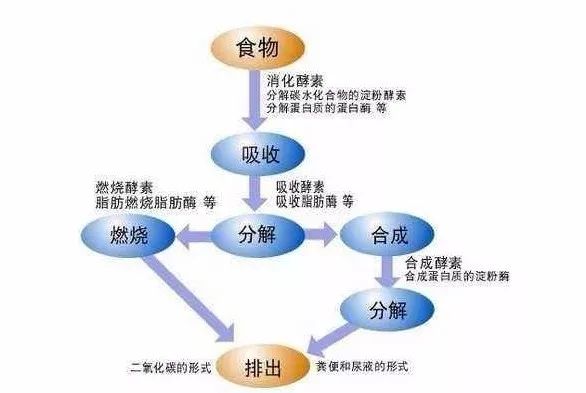 深扒五大护肤骗局有哪些,说说减肥领域公认的10个真相