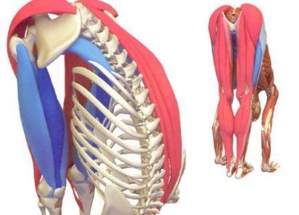 求实瑜伽视频课,求实瑜伽开肩