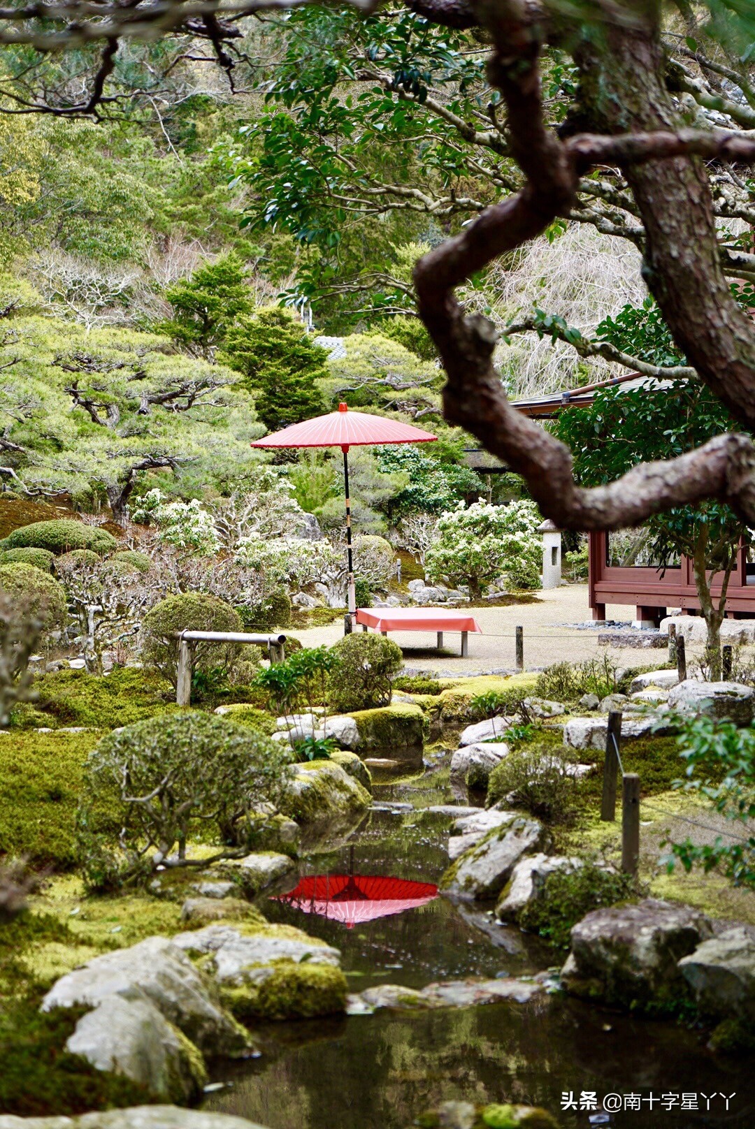 2019日本赏樱最新攻略|大津小众路线私家推荐