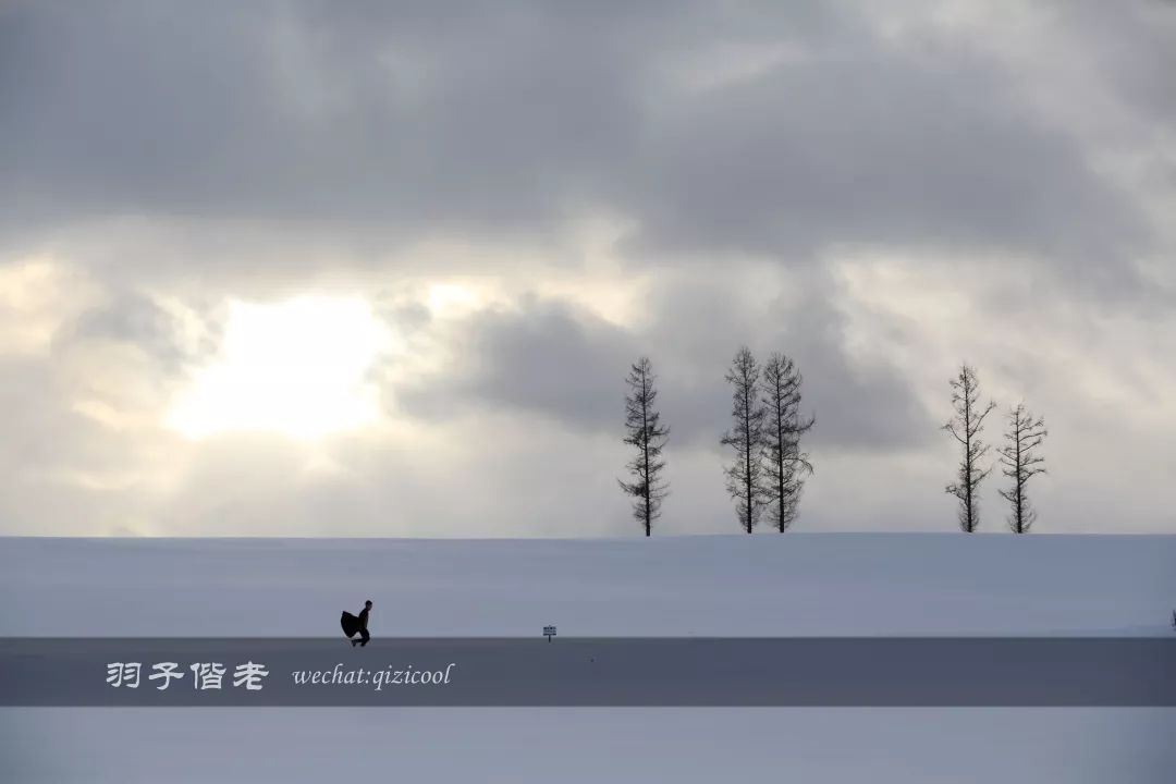 老实说,这一趟北海道就是为了拍好看的照片去的