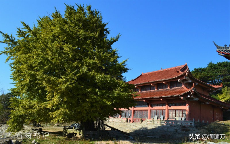 趁青春多折腾,趁着年轻四处游一游