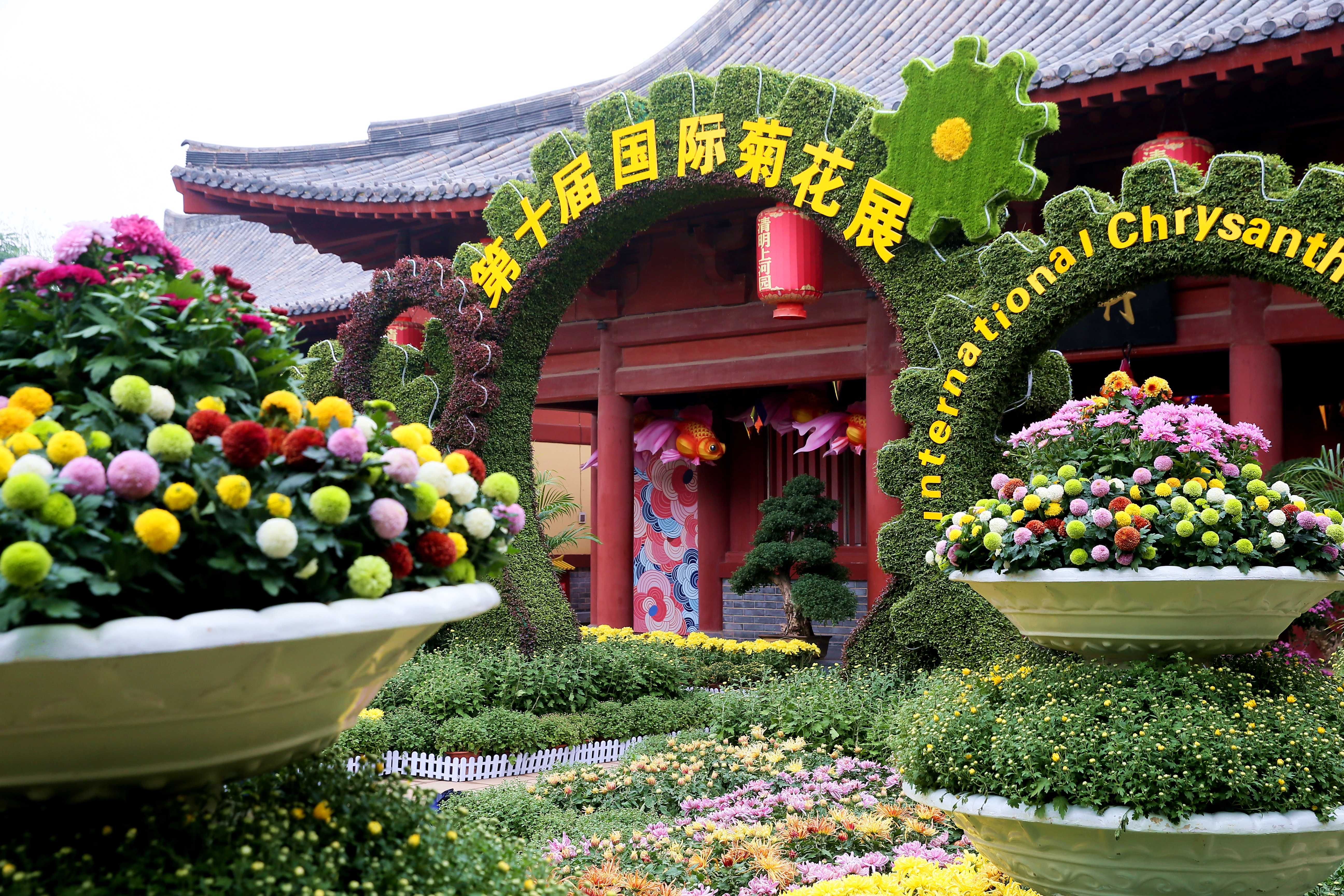 带你看开封清明上河园的菊花展,开封第41届菊花文化节清明上河园