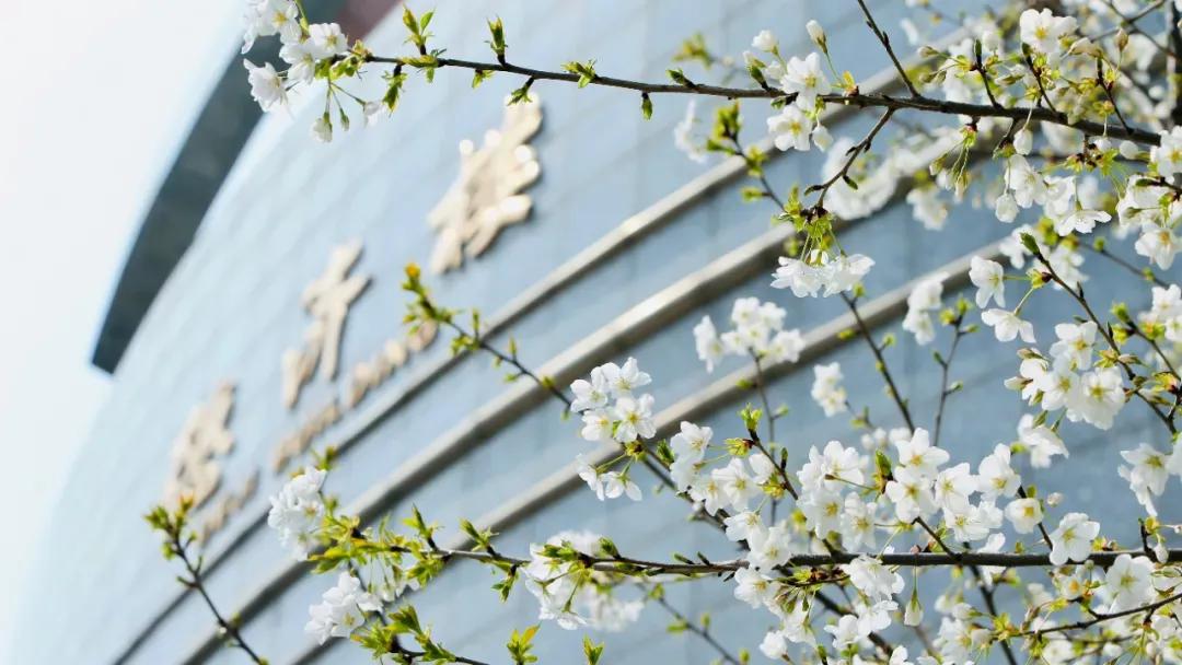 江苏财经大学,南京财经大学双非院校排名