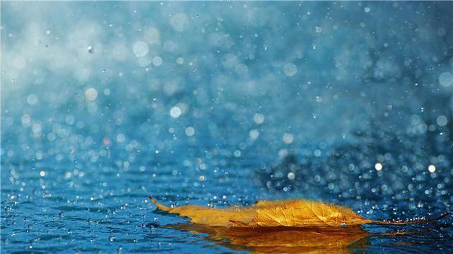 当你心里很苦的时候，不妨让自己在僻静的角落，痛快地哭出来