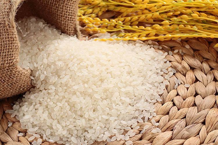 家里买的大米多了如何保存,家里大米容易受潮长虫怎么收藏