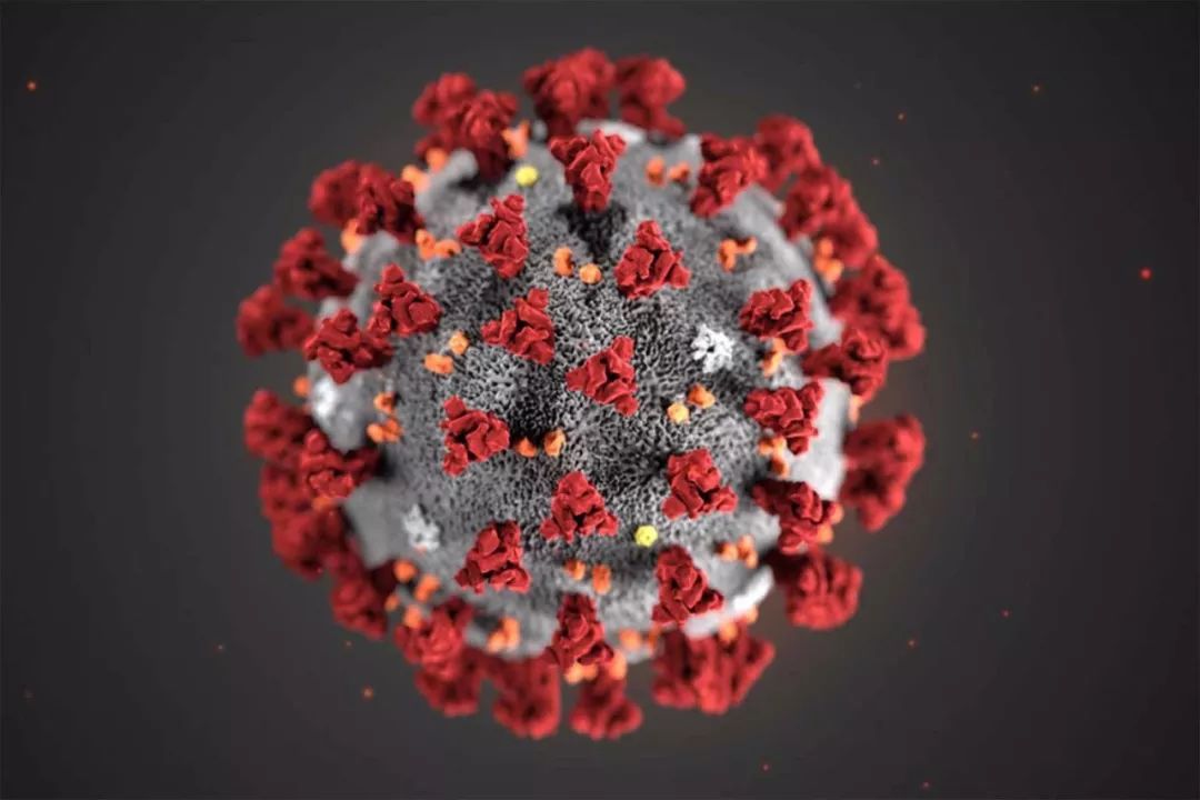 清浊之辩：陷入5大流言漩涡的武汉病毒所