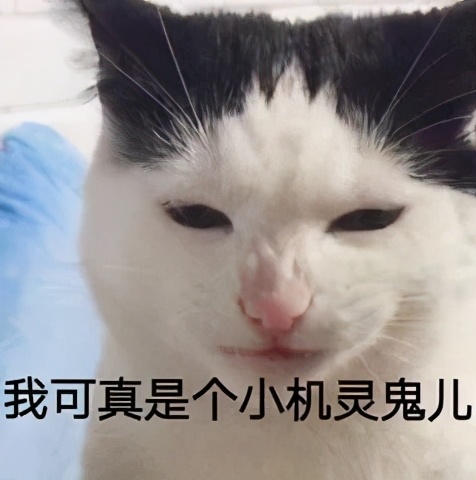 复录比超高的学校,mpacc复录比高的学校