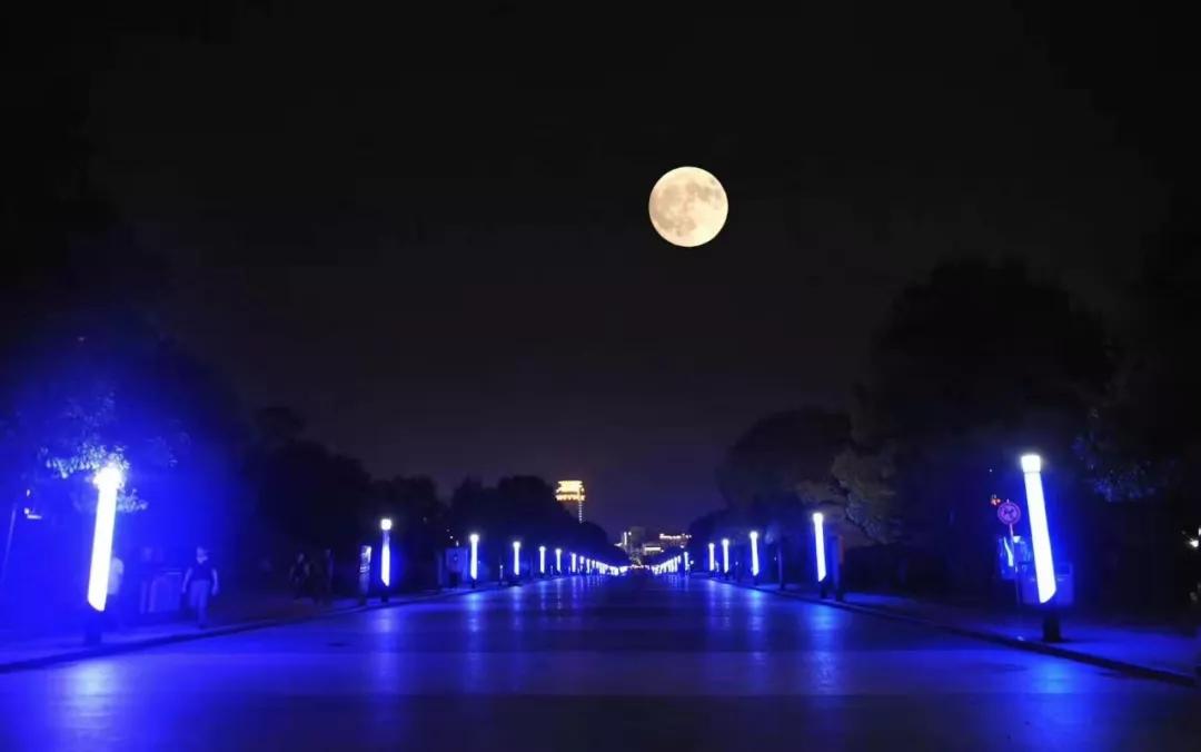 诸暨最土豪的村子在哪里,诸暨十大土豪村