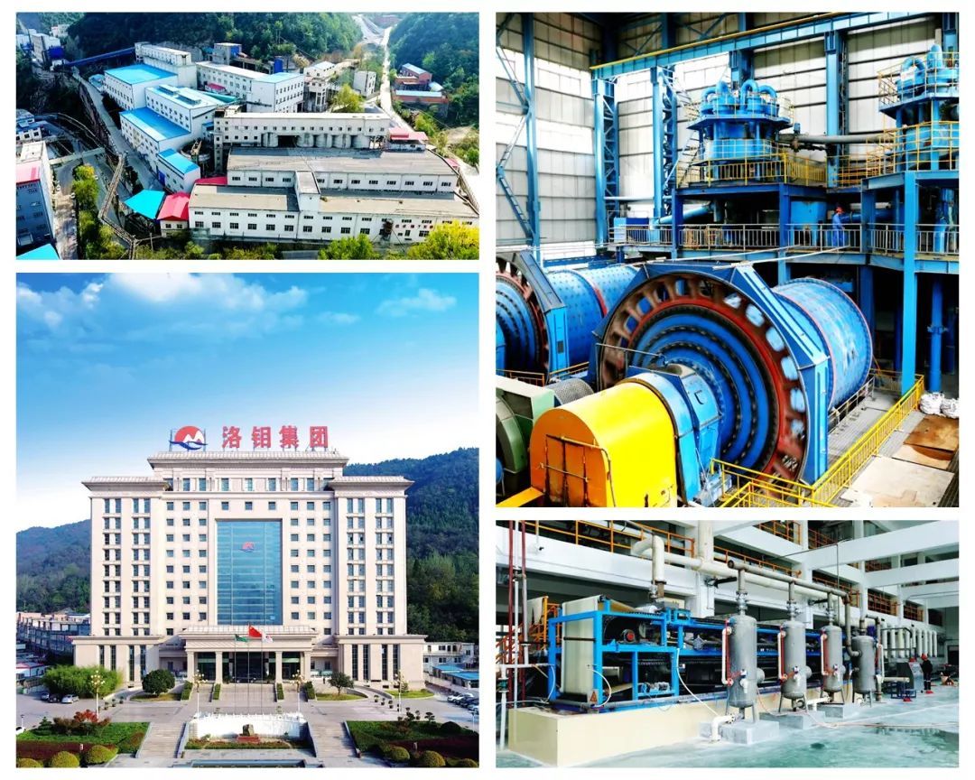 a股新能源汽车龙头是哪个,新能源锂电池龙头股票排名榜