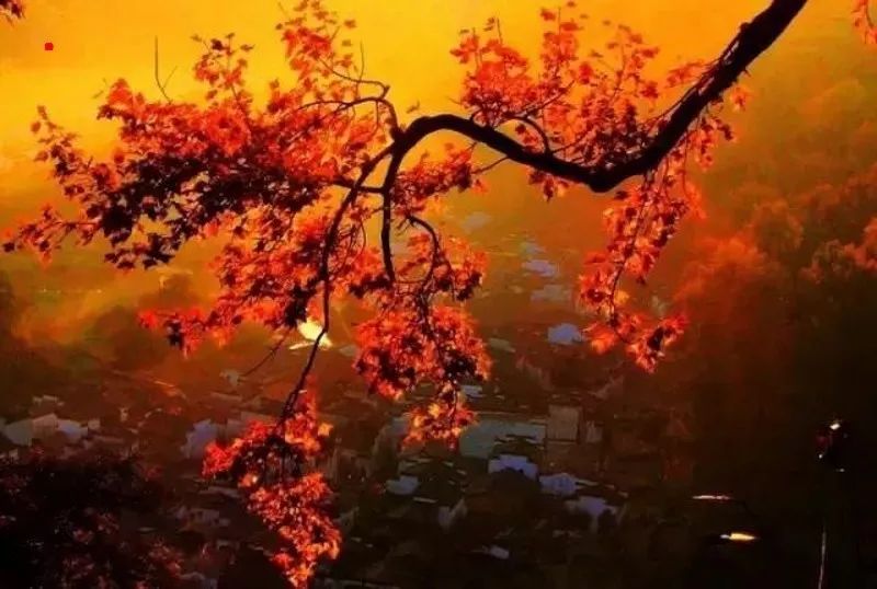 婺源篁岭赏秋,晒秋江西婺源篁岭