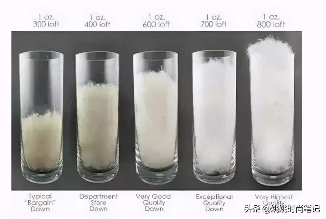 鸭绒或鹅绒充绒量多少暖和,是鸭绒服好还是鹅绒服好
