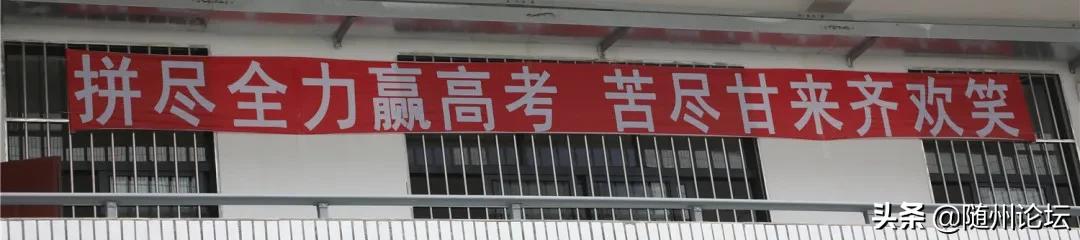 湖北曾都一中复学,好久不见武汉纪录片免费观看