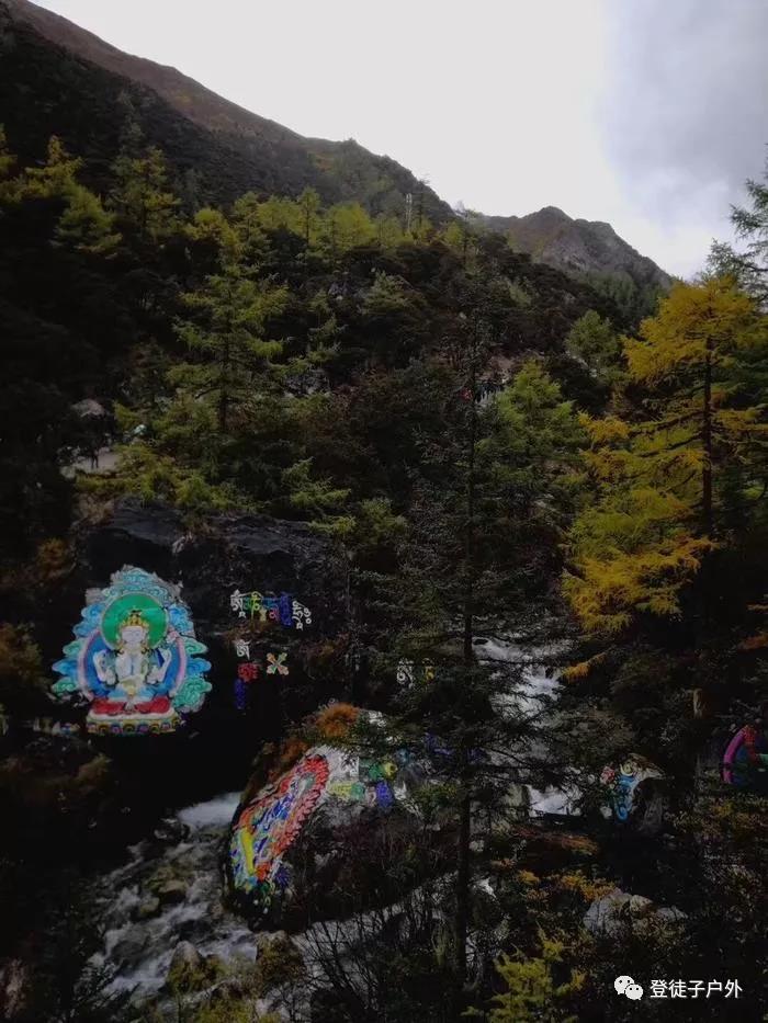 稻城亚丁游记完整版,稻城亚丁游记1000字