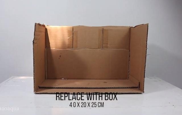 莫斯树到底好不好,莫斯树是什么