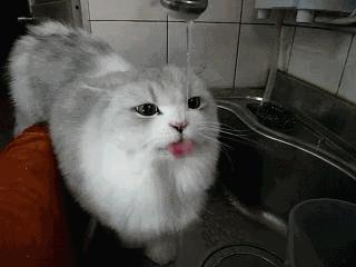 蛀牙了十几年还需要做根管治疗吗,蛀牙了一个小洞要根管治疗吗